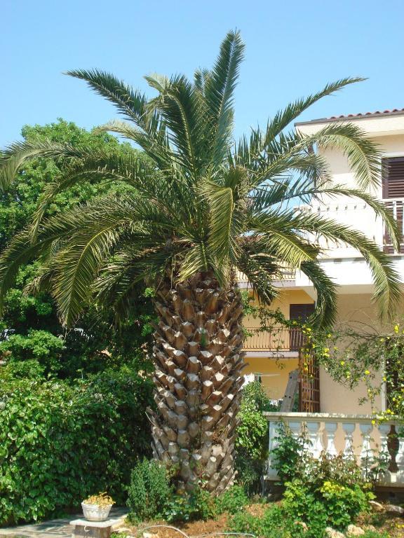 فوديس Apartments Labor الغرفة الصورة
